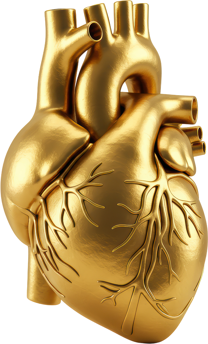 Goldenes, anatomisch detailliertes 3D-Modell eines menschlichen Herzens