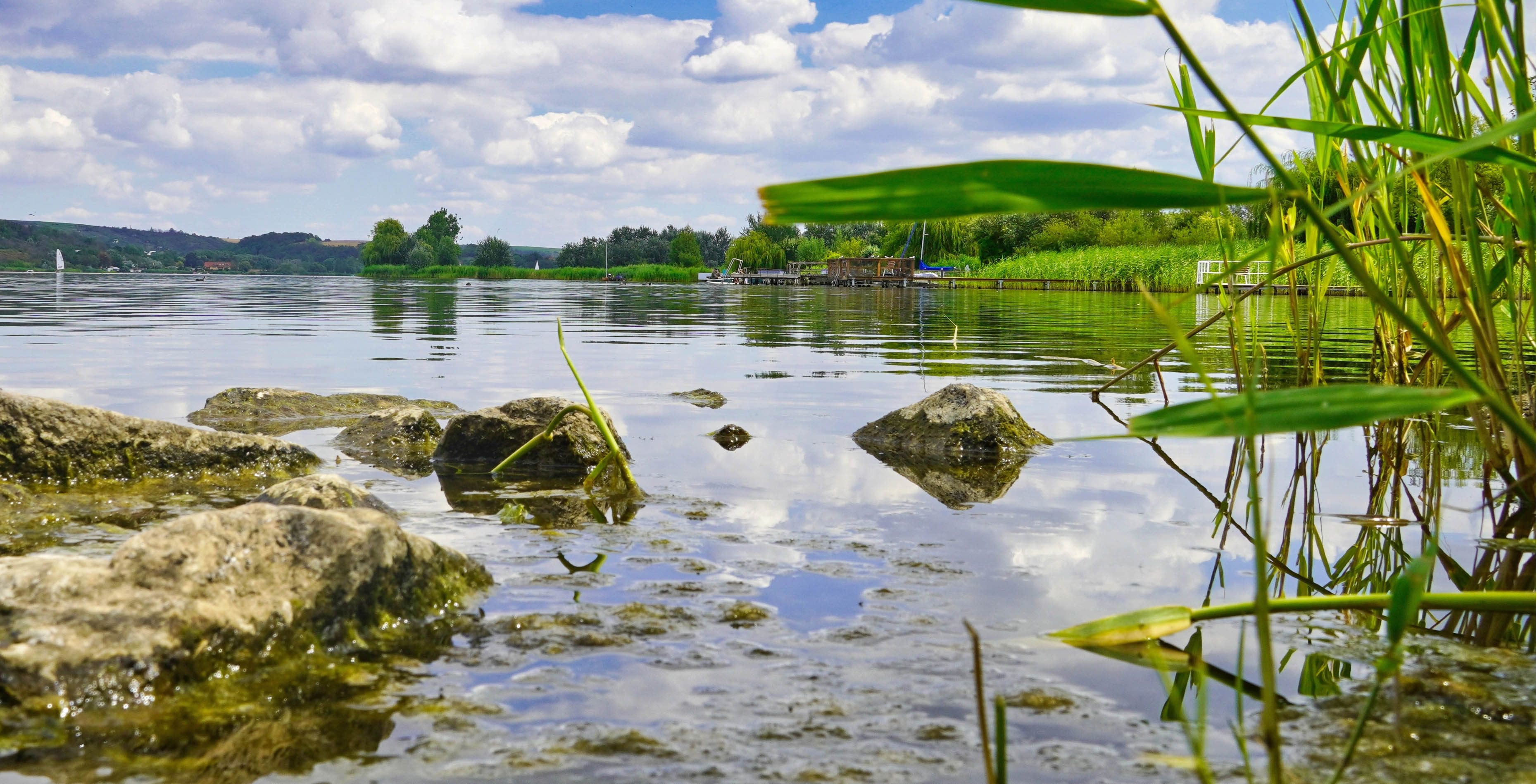 Gruppe Maskieren 12x